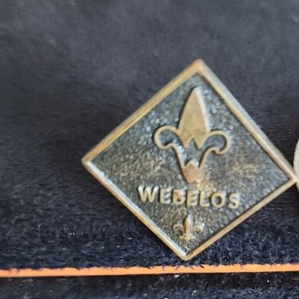 Vintage Boy Scouts BSA Webelos Lapel Pin